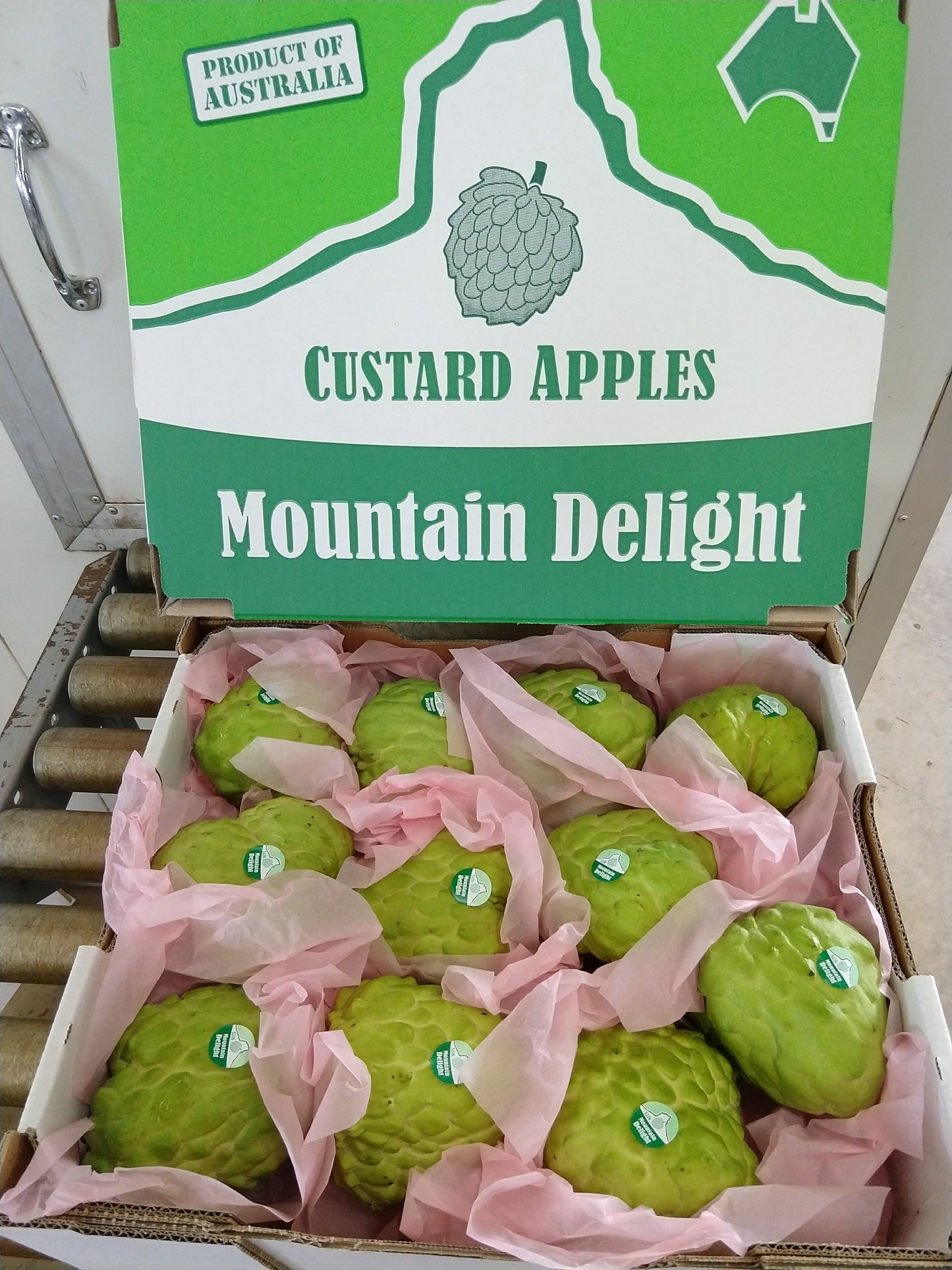 Premium Custard Apples